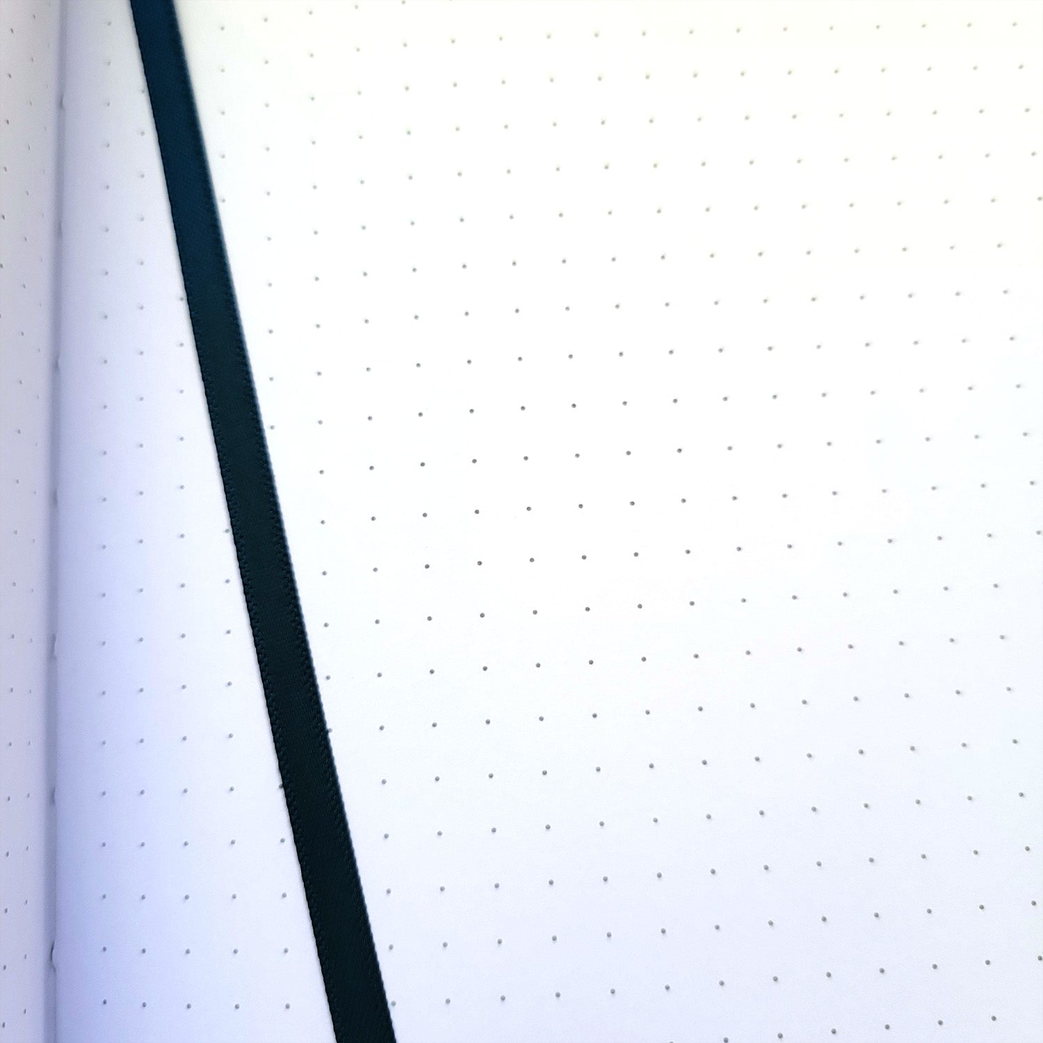 Dark Forest Dot Grid Journal - Geeky merchandise for people who play D&D - Merch to wear and cute accessories and stationery Paola's Pixels